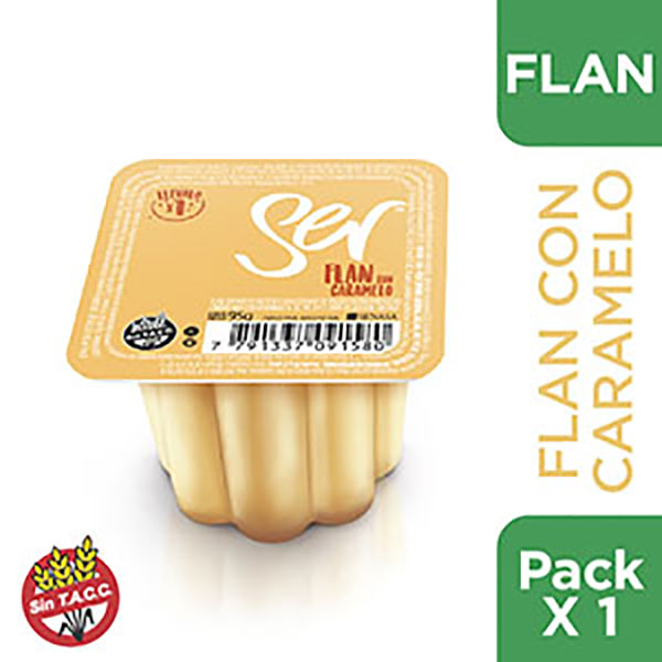 SER FLAN TENTACION VAIN X95G