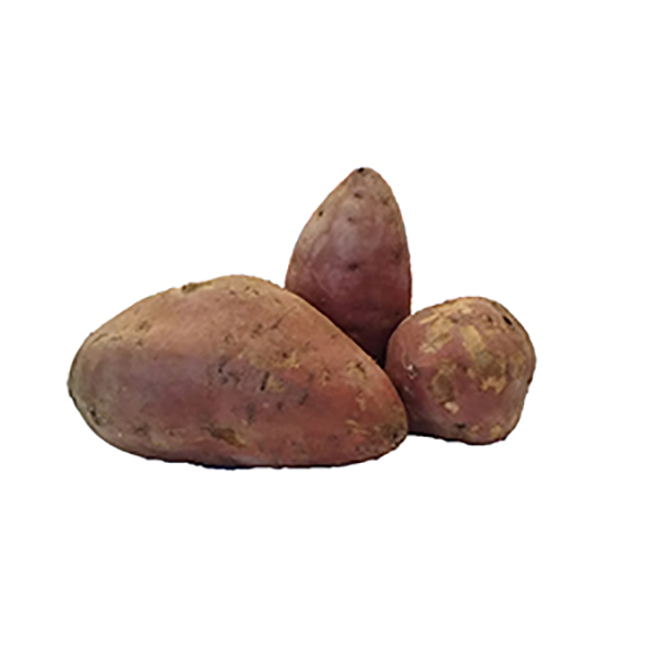BATATA BLANCA