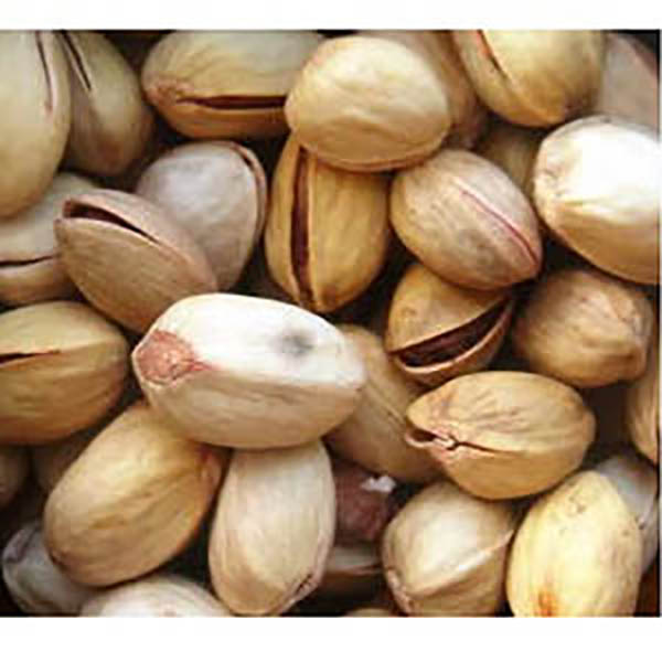 PISTACHO X100G