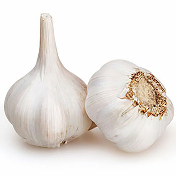 AJO CHICO COLORADO XU