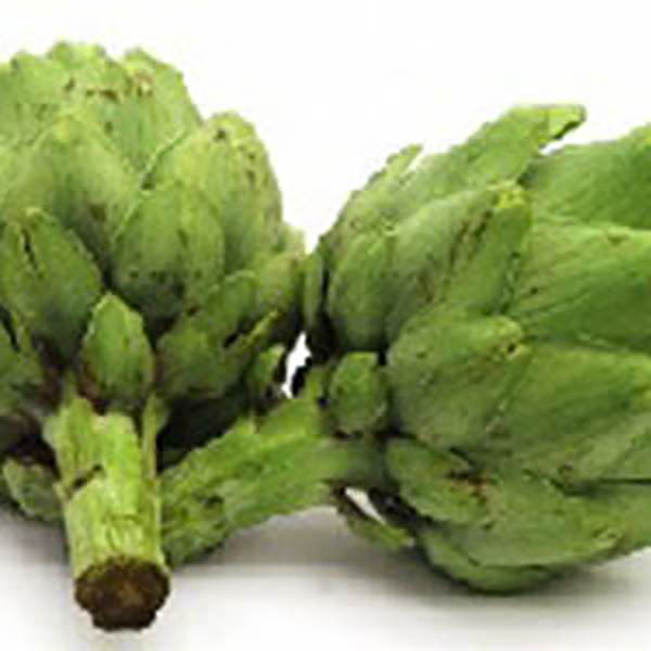 ALCAUCIL XU