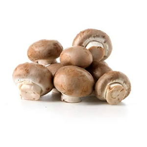 CHAMPIGNON X200G