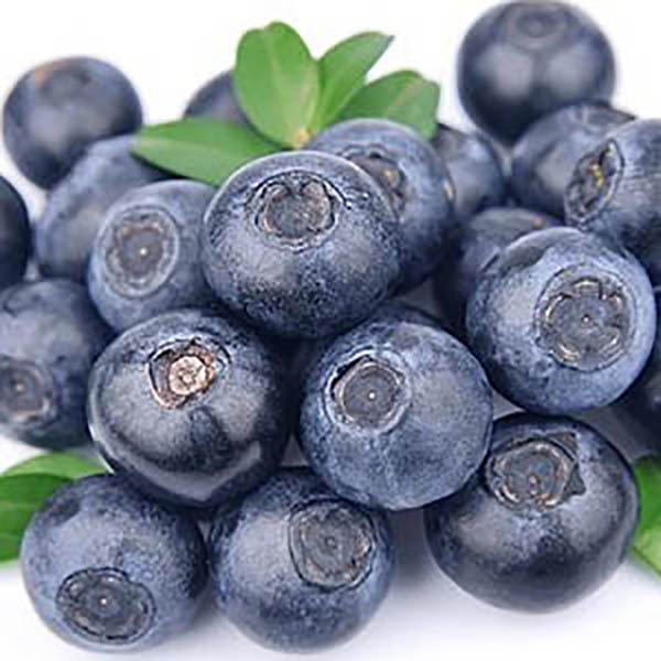 ARANDANOS CHILE X125G