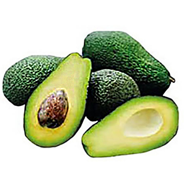 PALTA DE CHILEXU
