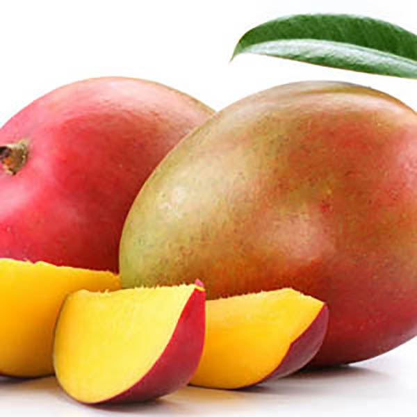 MANGO XU