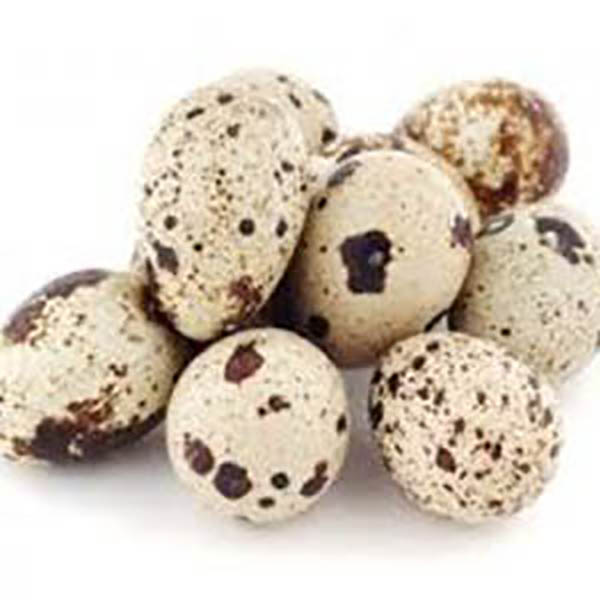 HUEVOS CODORNIZ X12U