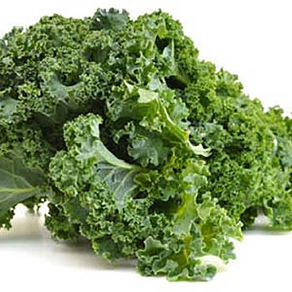 KALE XU